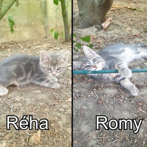 Réha et Romy