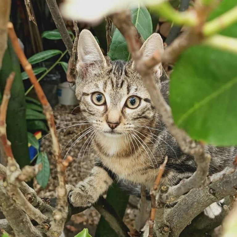 Lire la suite à propos de l’article Riley