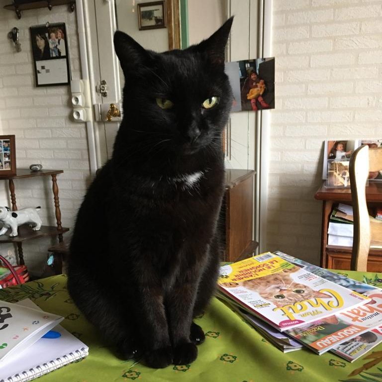 Lire la suite à propos de l’article Flipper