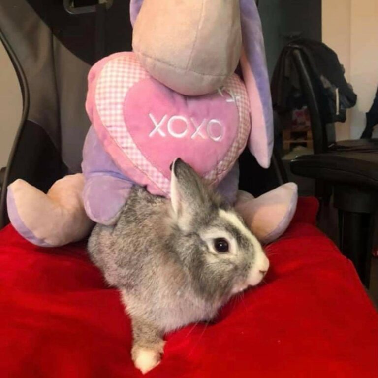 Lire la suite à propos de l’article Sundae