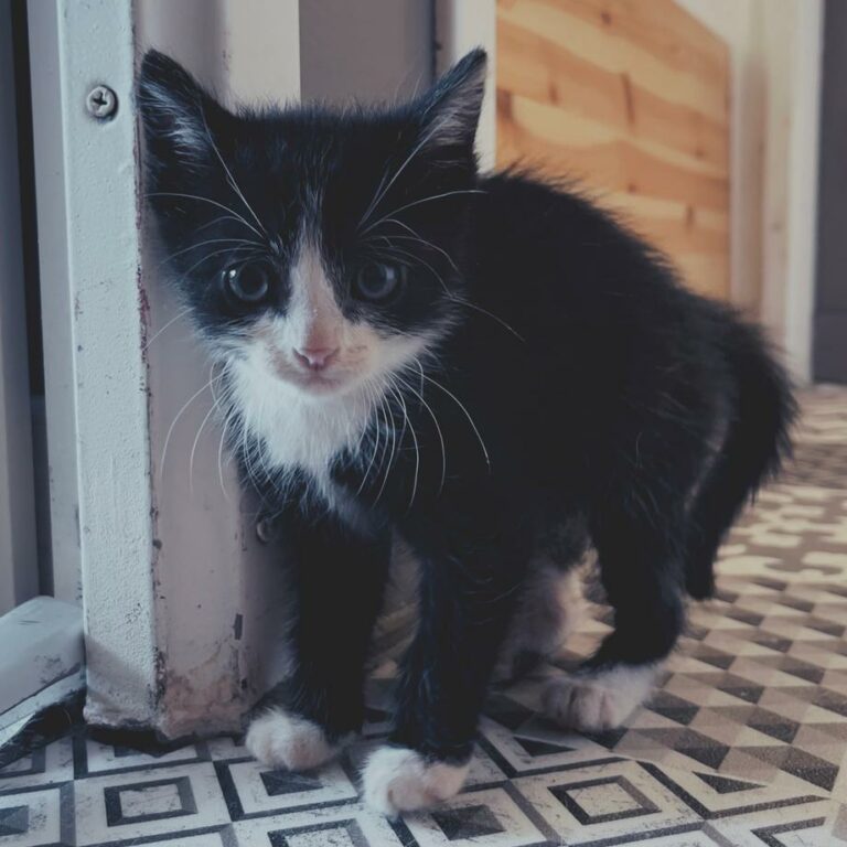 Lire la suite à propos de l’article Eren