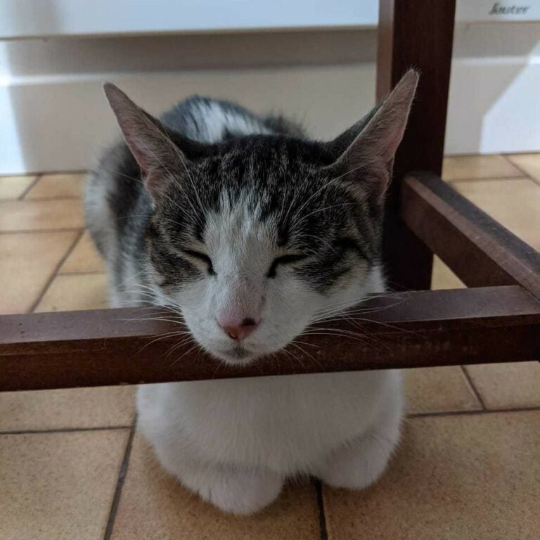 Lire la suite à propos de l’article Mina