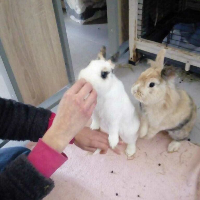 Lire la suite à propos de l’article Manu et Capuccina