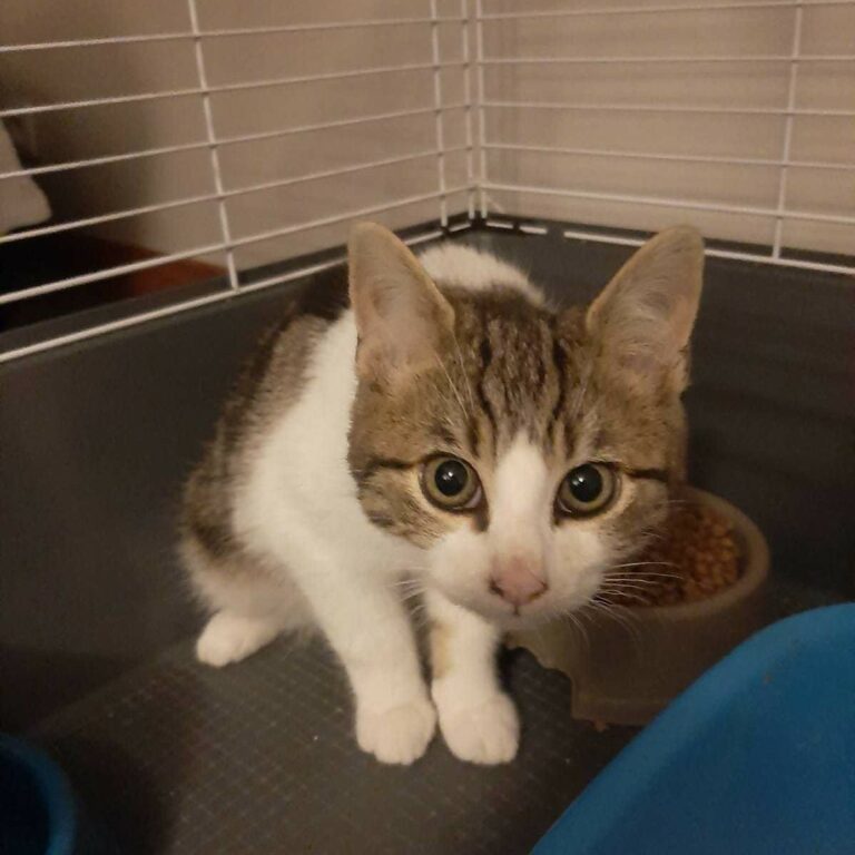 Lire la suite à propos de l’article Ben