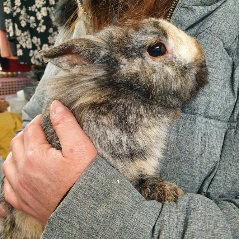 Lire la suite à propos de l’article Bounty