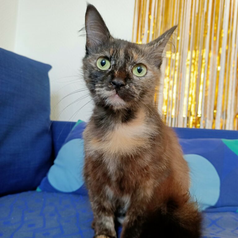 Lire la suite à propos de l’article Lilly