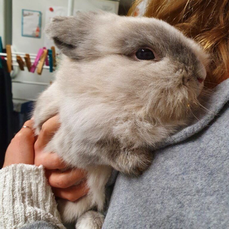 Lire la suite à propos de l’article Twix