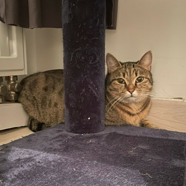 Lire la suite à propos de l’article Aria