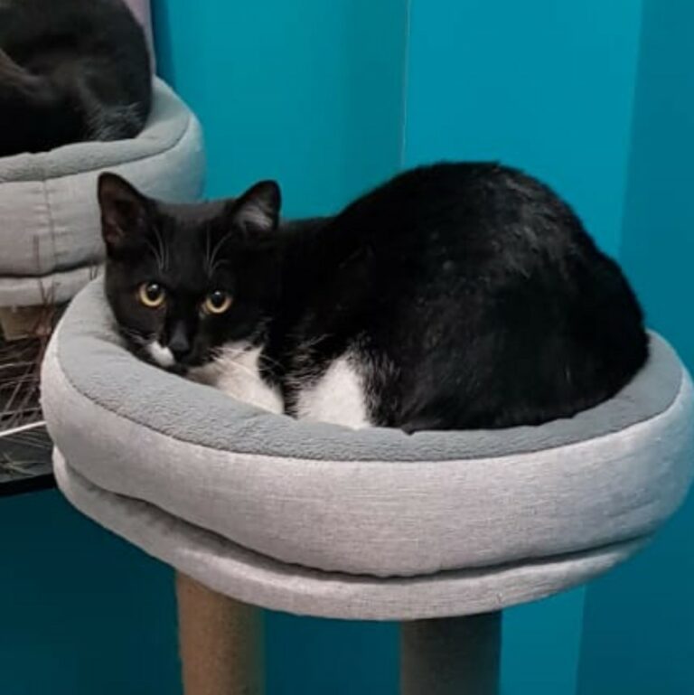 Lire la suite à propos de l’article Bahia