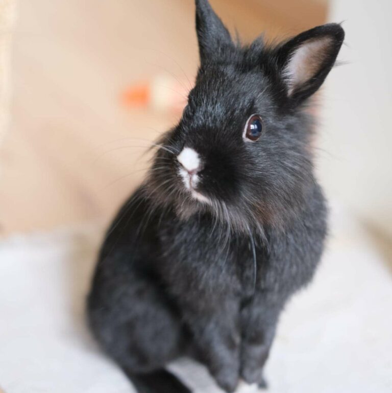 Lire la suite à propos de l’article May