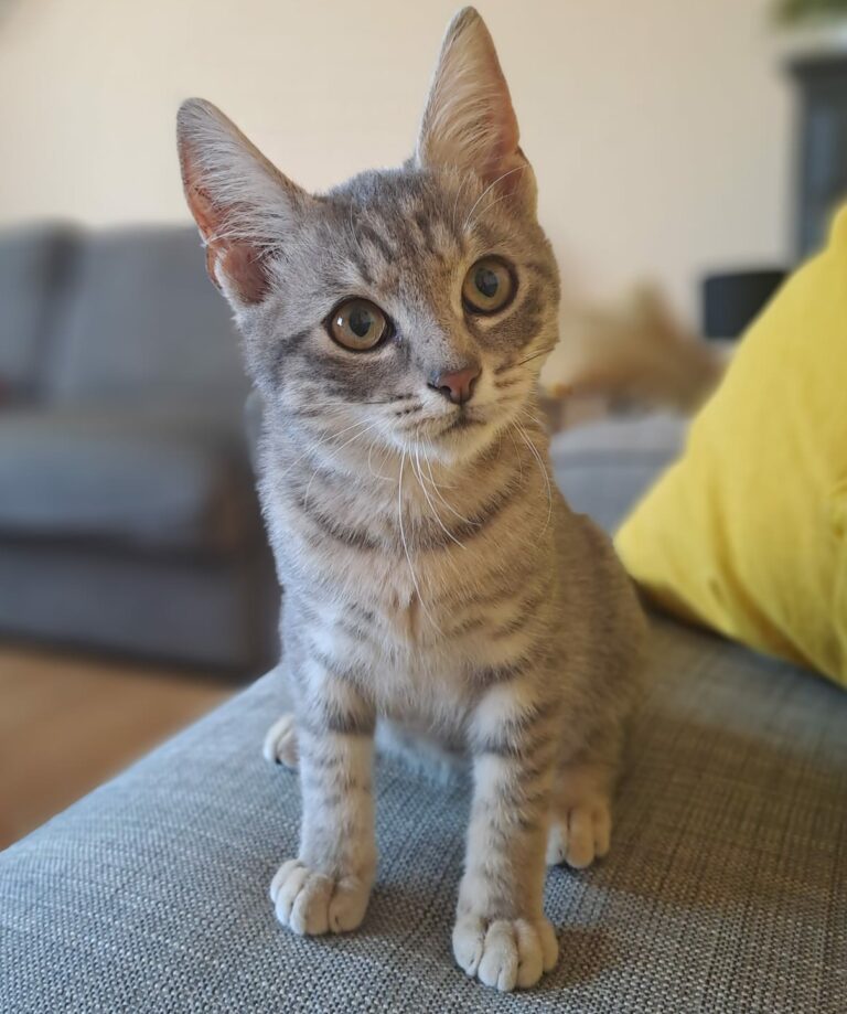 Lire la suite à propos de l’article Wendy