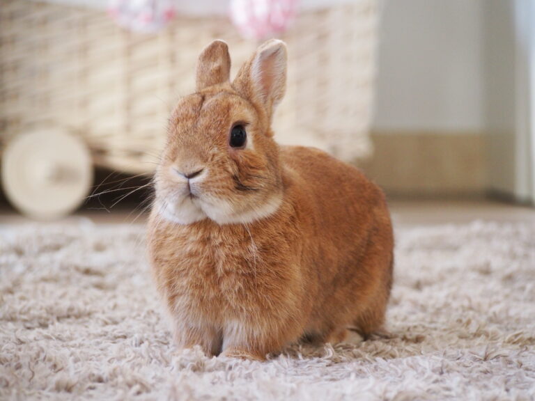 Lire la suite à propos de l’article Nutty