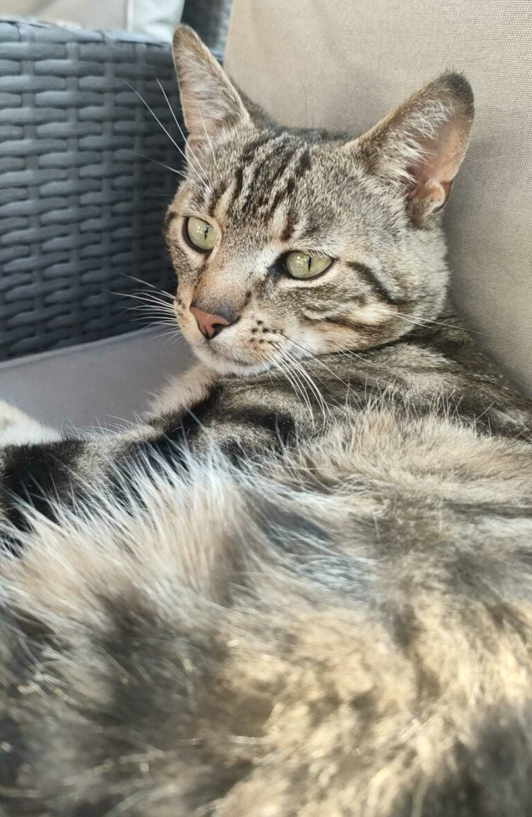 Lire la suite à propos de l’article Squatter