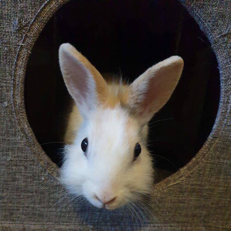 Lire la suite à propos de l’article Lilou ♀️