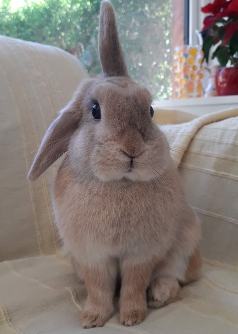 Lire la suite à propos de l’article Moka ♀️