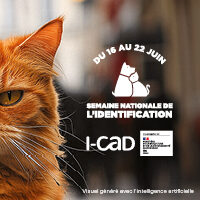 Lire la suite à propos de l’article I-CAD ou Identification des CArnivores Domestiques