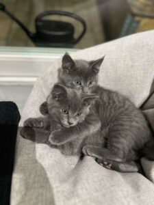 Plume ♀️ et Mistral ♂️