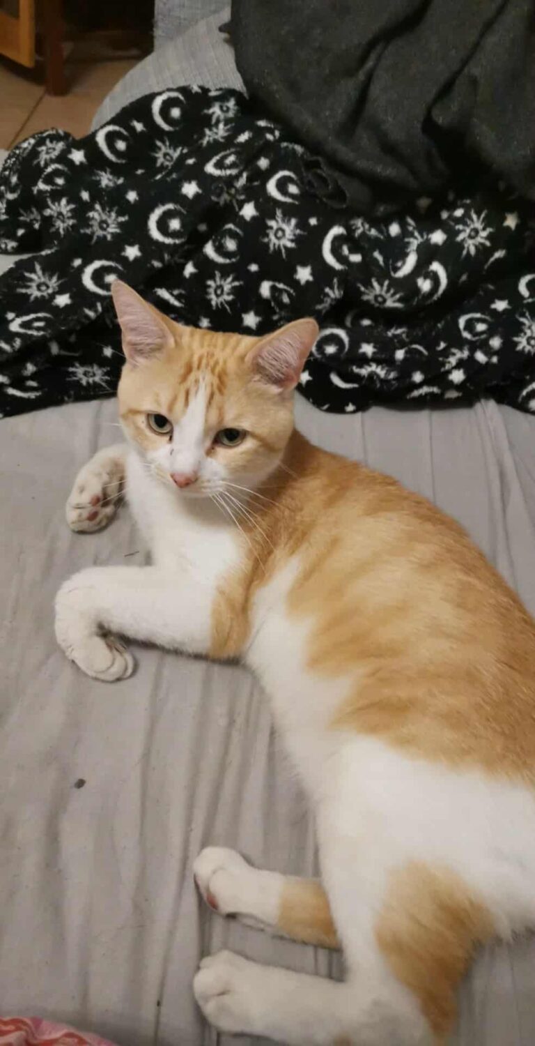 Lire la suite à propos de l’article Jo ♂️