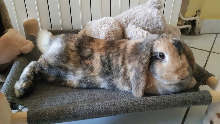 Lire la suite à propos de l’article Paulette ♀️