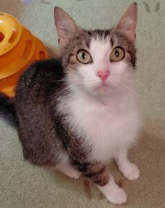 Minette-2026-06-10-2
