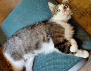 Minette-2026-06-10-3