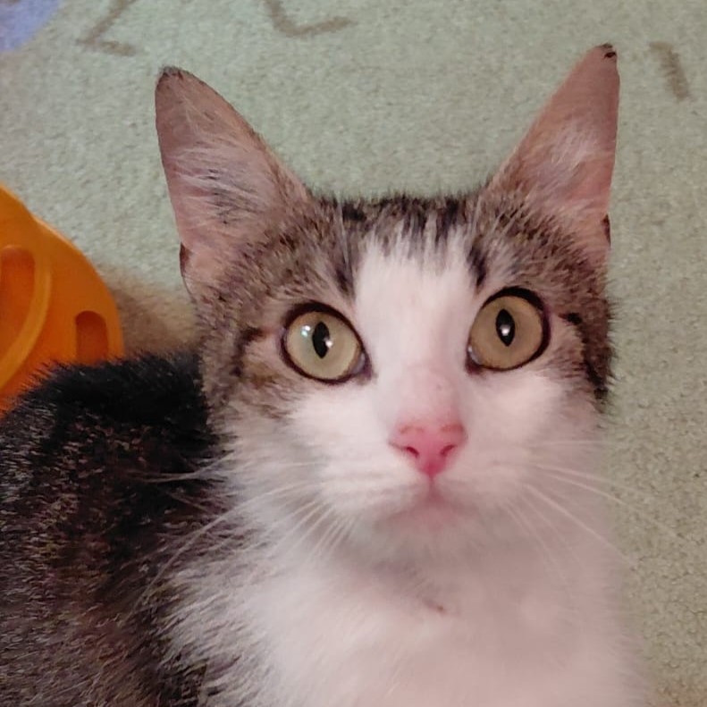 Minette ♀️