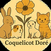 Lire la suite à propos de l’article Coquelicot doré