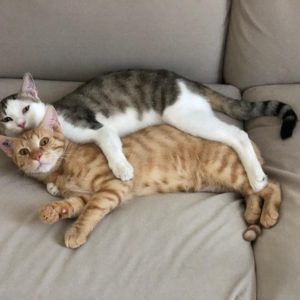 Ember&Frozen3